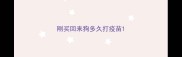 刚买回来狗多久打疫苗