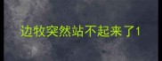 边牧突然站不起来了