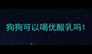 狗狗可以喝优酸乳吗