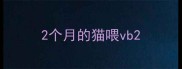 2个月的猫喂vb