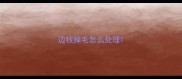 边牧掉毛怎么处理
