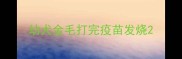 幼犬金毛打完疫苗发烧