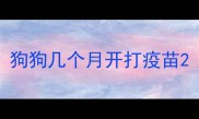 狗狗几个月开打疫苗