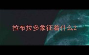 拉布拉多象征着什么