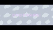 拉布拉多耳朵脱毛