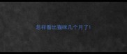 怎样看出猫咪几个月了
