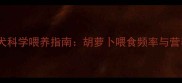 拉布拉多犬科学喂养指南胡萝卜喂食频率与营养搭配全