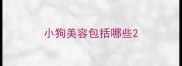 小狗美容包括哪些