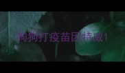 狗狗打疫苗因特威
