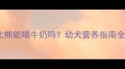 3个月比熊能喝牛奶吗幼犬营养指南全攻略