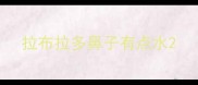 拉布拉多鼻子有点水