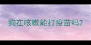 狗在咳嗽能打疫苗吗