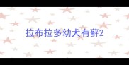 拉布拉多幼犬有藓