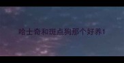 哈士奇和斑点狗那个好养