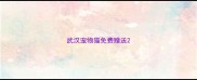 武汉宠物猫免费赠送