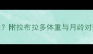 7斤大金毛几个月大附拉布拉多体重与月龄对照表科学养宠指南