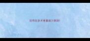 拉布拉多犬食量减少原因
