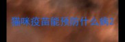猫咪疫苗能预防什么病