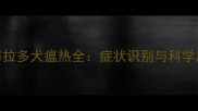 一岁拉布拉多犬瘟热全症状识别与科学应对指南