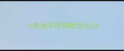 小泰迪不吃狗粮怎么办