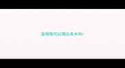 宠物狗可以喝自来水吗