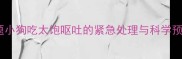 核心问题小狗吃太饱呕吐的紧急处理与科学预防指南