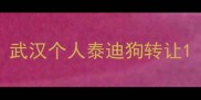武汉个人泰迪狗转让