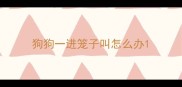狗狗一进笼子叫怎么办