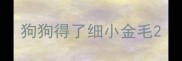 狗狗得了细小金毛