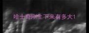 哈士奇刚生下来有多大