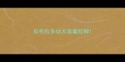 拉布拉多幼犬追着咬脚