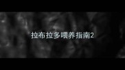 拉布拉多喂养指南