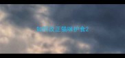 如何改正猫咪护食