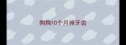 狗狗10个月掉牙齿