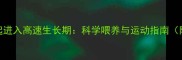 泰迪幼犬3月龄起进入高速生长期科学喂养与运动指南附生长曲线表