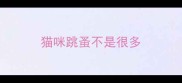 猫咪跳蚤不是很多