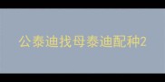 公泰迪找母泰迪配种