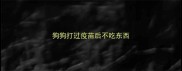 狗狗打过疫苗后不吃东西
