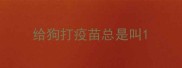 给狗打疫苗总是叫