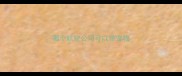 哪个航空公司可以带宠物