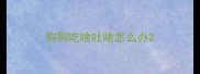狗狗吃啥吐啥怎么办