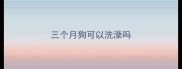 三个月狗可以洗澡吗