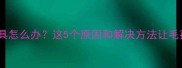 哈士奇不玩玩具怎么办这5个原因和解决方法让毛孩子爱上玩具