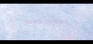 泰迪用多大尺寸的笼子