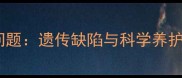 拉布拉多犬常见耳部健康问题遗传缺陷与科学养护指南附专业兽医建议