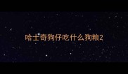 哈士奇狗仔吃什么狗粮