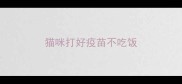 猫咪打好疫苗不吃饭