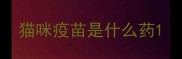 猫咪疫苗是什么药