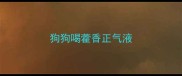 狗狗喝藿香正气液