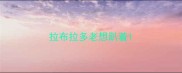 拉布拉多老想趴着